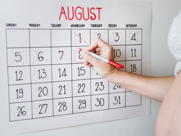 Week by Week Pregnancy Milestones Explained: What's Really Happening Inside the Womb